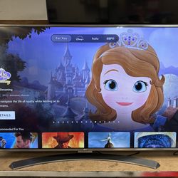 LG 65” 4K Smart TV