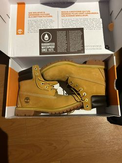 Timberlands Brand New