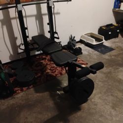 Workout Bench With Weights 