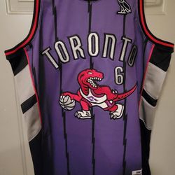 Toronto Raptor DRAKE collaboration