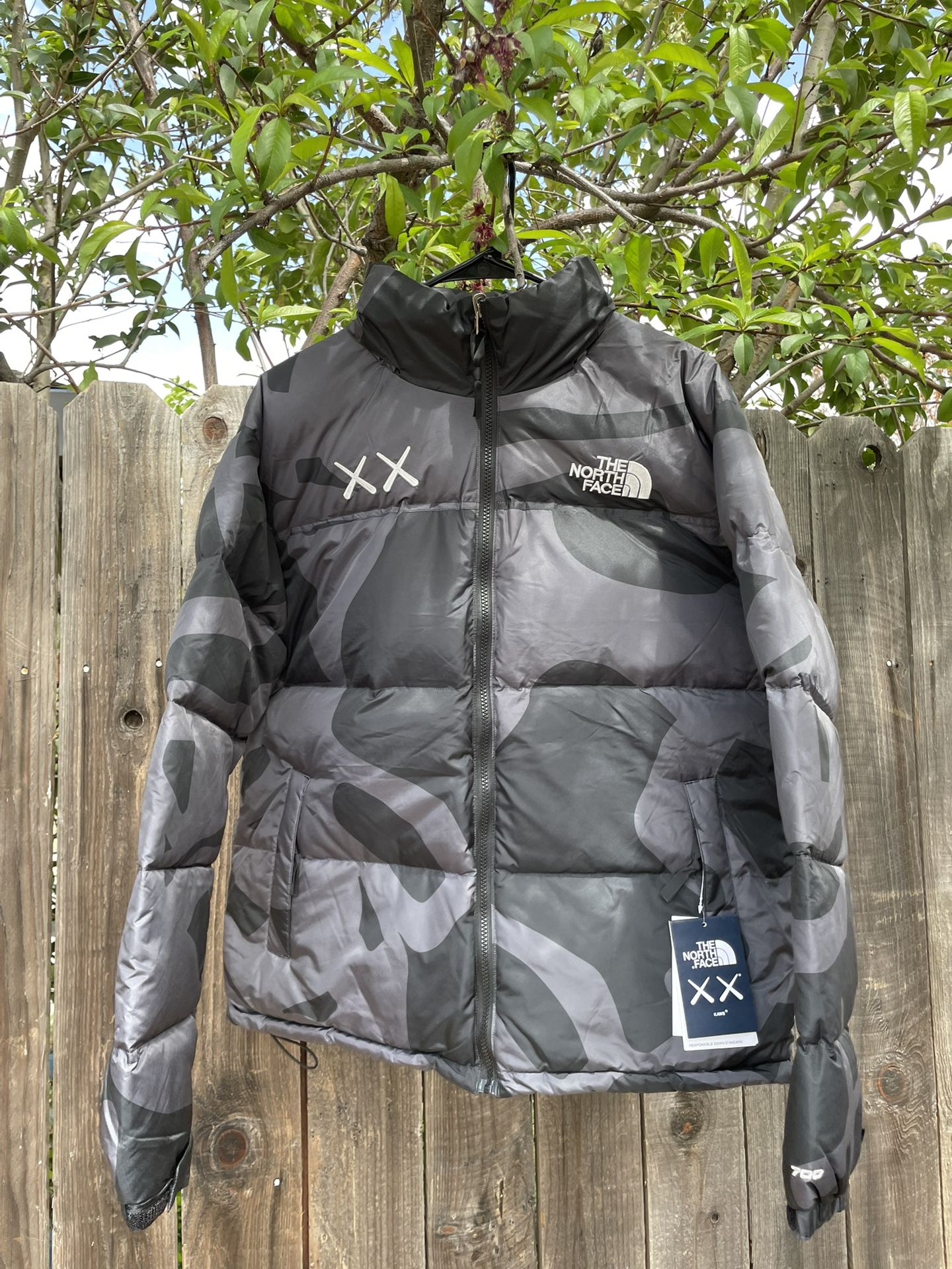 The North Face X Kaws Jacket