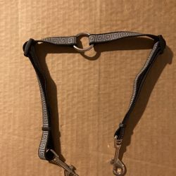 Dual Dog Leash for Two Dogs Splitter No Tangle Small Dog