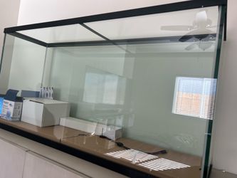 55 Gallon Tank