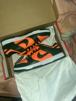 miami hurricane dunk lows