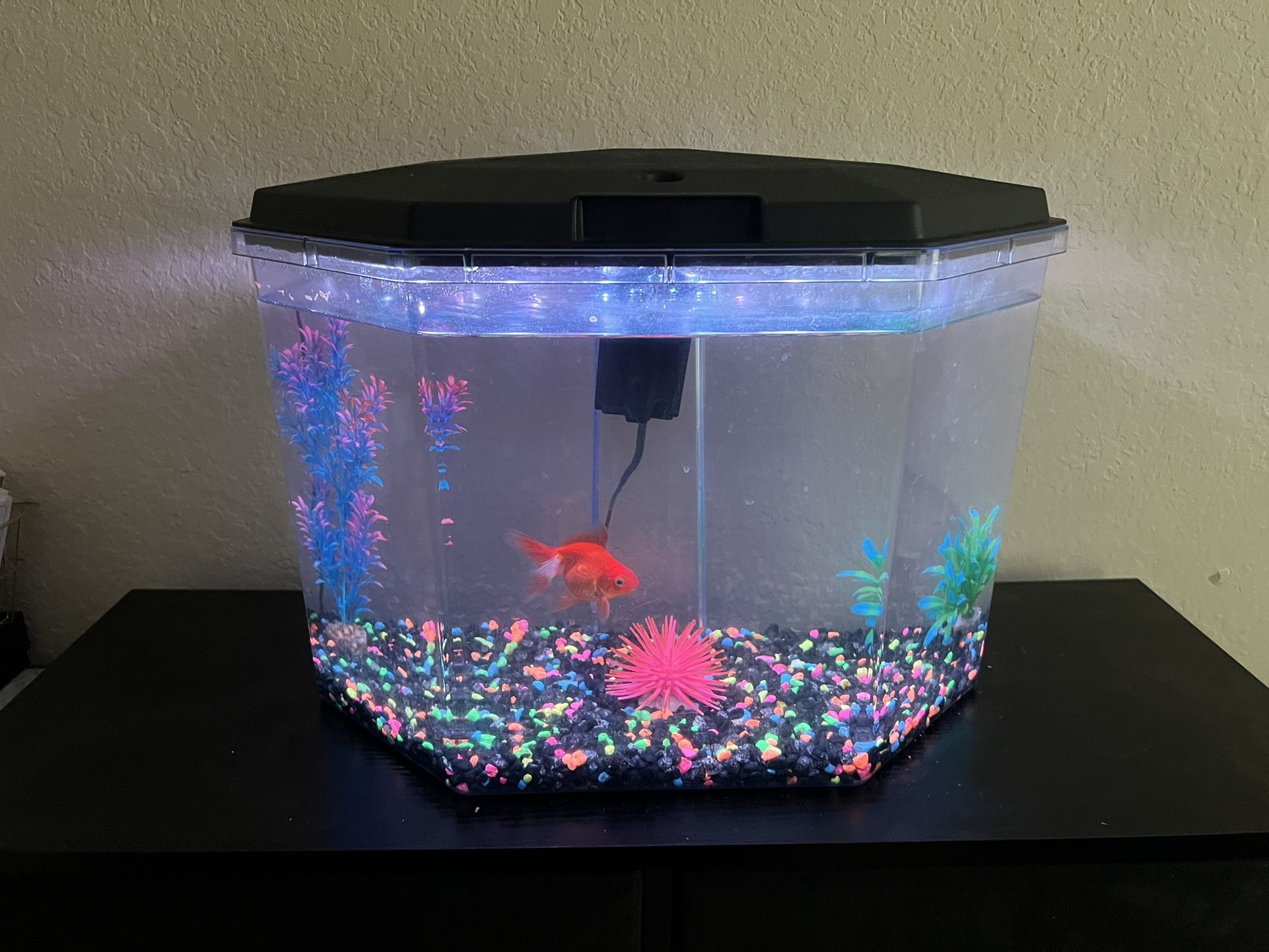 Fish Tank