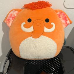 Squishmallow 
