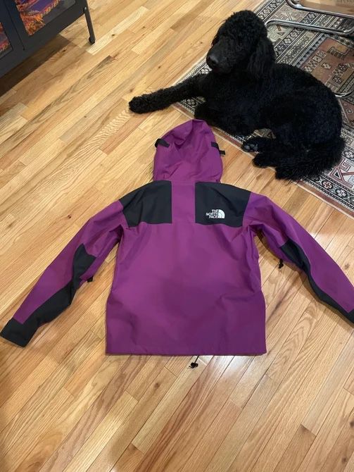 The North Face 1990 Mountain Jacket (Gore-Tex) Phlox Purple for