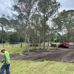Fresh Cut Sod, Delivered or Installed 