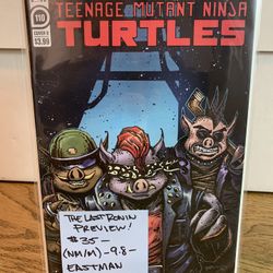 IDW Comics TMNT Issue #110 (Cover B)
