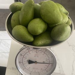 Mango Verde Criollo $10 Por Libra
