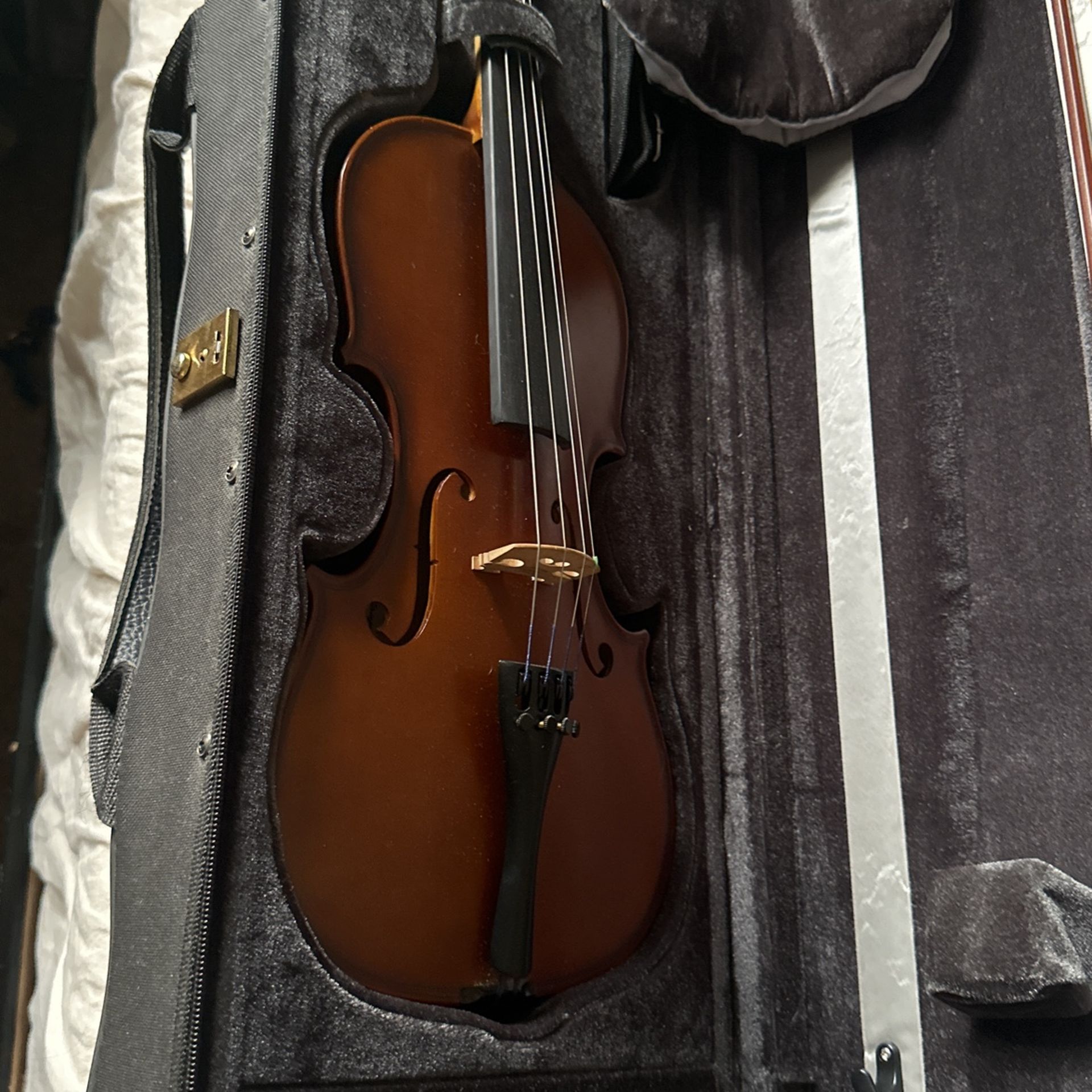 Violin
