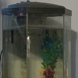 30 Gallon Aquarium