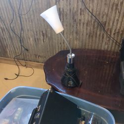 Ottlite Lamp