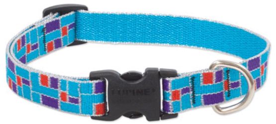Dog Collar and Leash lead Combo Lupine New