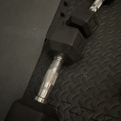 Weight Set and Squat / Pull-up Rack