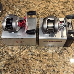 Daiwa TD-Z Type R and Type R+