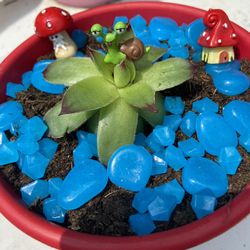 Handmade Fairy gardens with Glow In The Dark Rocks
