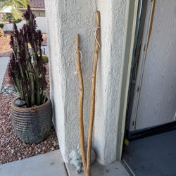 2 Walking Sticks