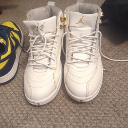 Ovo Jordan 12 Size 10 