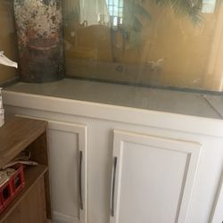 75 Gallon Fish Tank