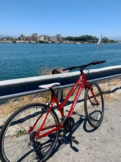 Bike + stand + rack + pump
