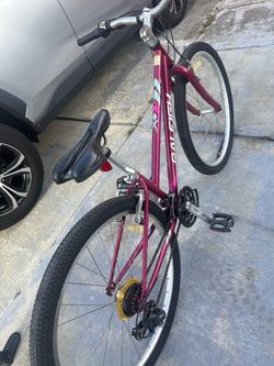 Raleigh Mountain Bike – Purple