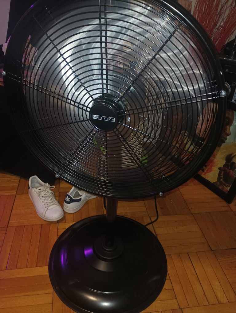 Fan 