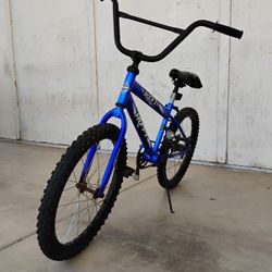 Bike 20 "in"