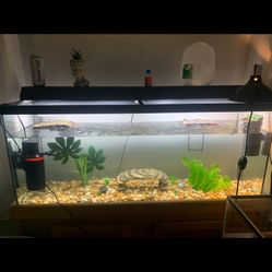 50 Gallon Fish Tank With Stand