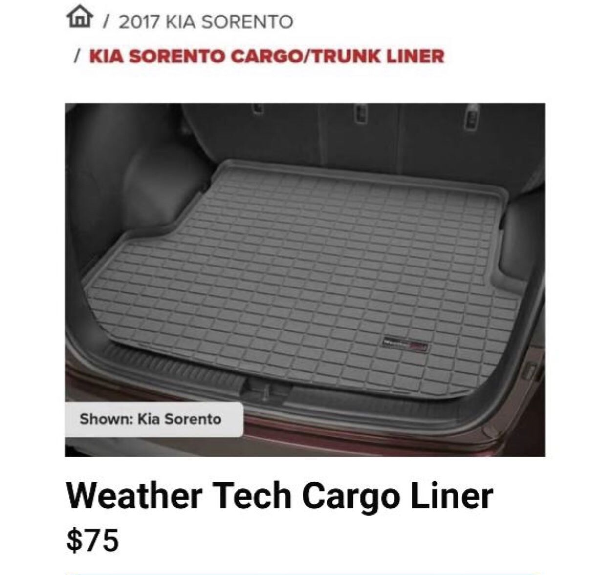 Weather tech Cargo Liner 