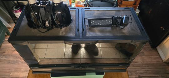 20 Gallon Terrarium and Accessories