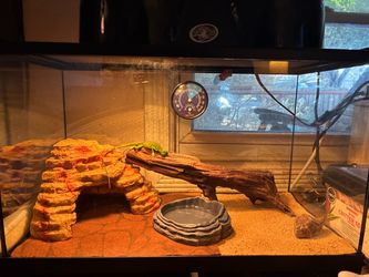 10 gallon tank