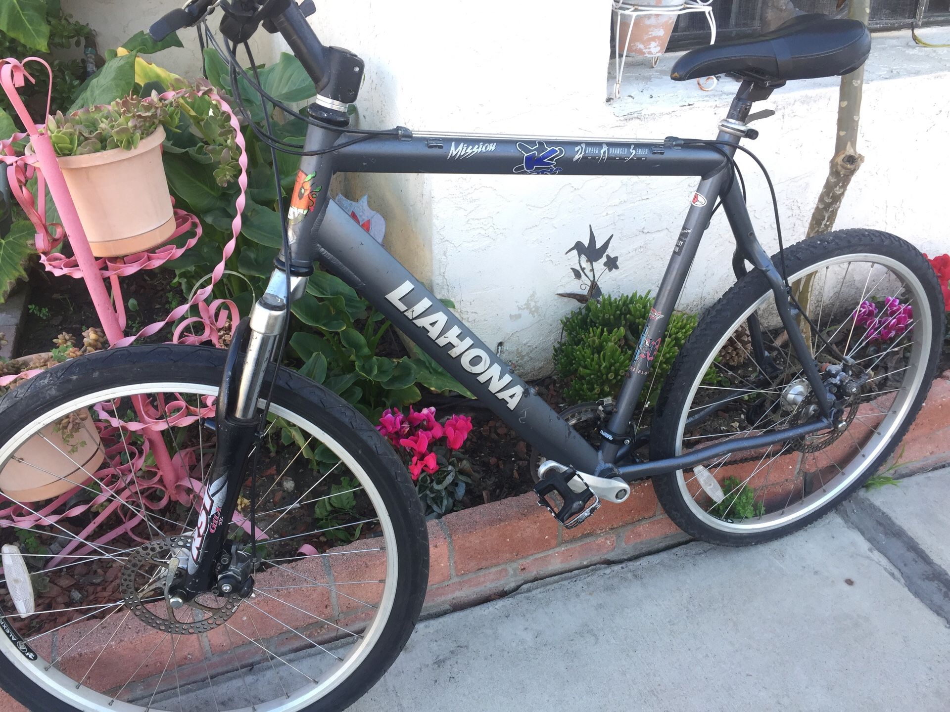 Liahona mission disc brake 27 speed 26 inches large frame $60