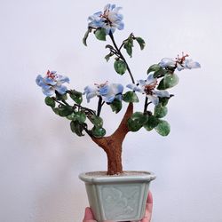 17”X13” Vintage Mid 20th Century Italian Jade Flowering Bonsai Tree