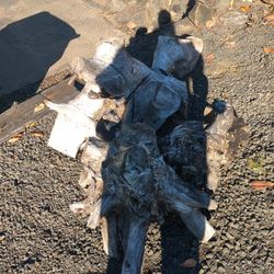 Decorative Driftwood?