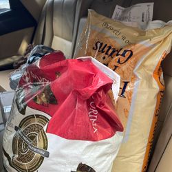 Free Corn And Duck Feed