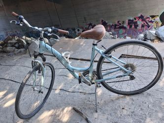 Trek bike