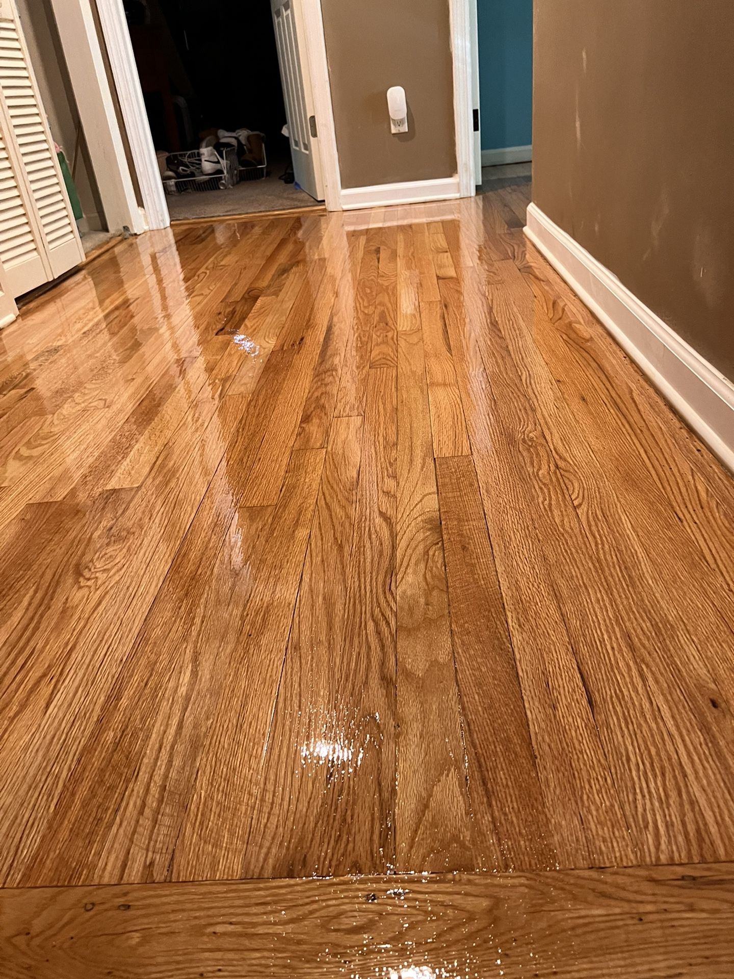 Hardwood Floor Sander for Sale in Paterson, NJ OfferUp