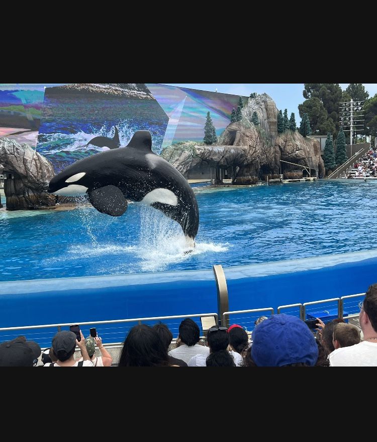 One Day Sea World Ticket