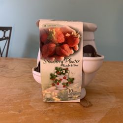 Strawberry Planter