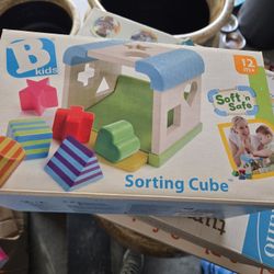 Sorting Cube Toy