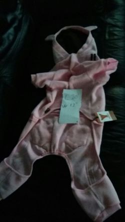 New dog jacket