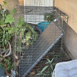 Giant Dog Cage