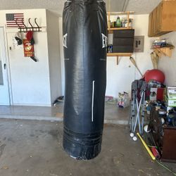 Everlast Punching Bag 