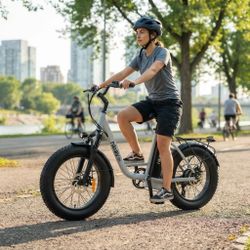 Hiboy EX6 Step-Thru Fat Tire Electric Bike with 500W Motor, 960W Peak Power & Up to 75-Mile Pedal-Assist Range - 48V 14.5Ah Removable Battery, 20 x 4 