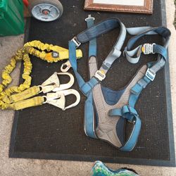 Work Harness And Lead