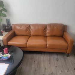 Free Sofa 