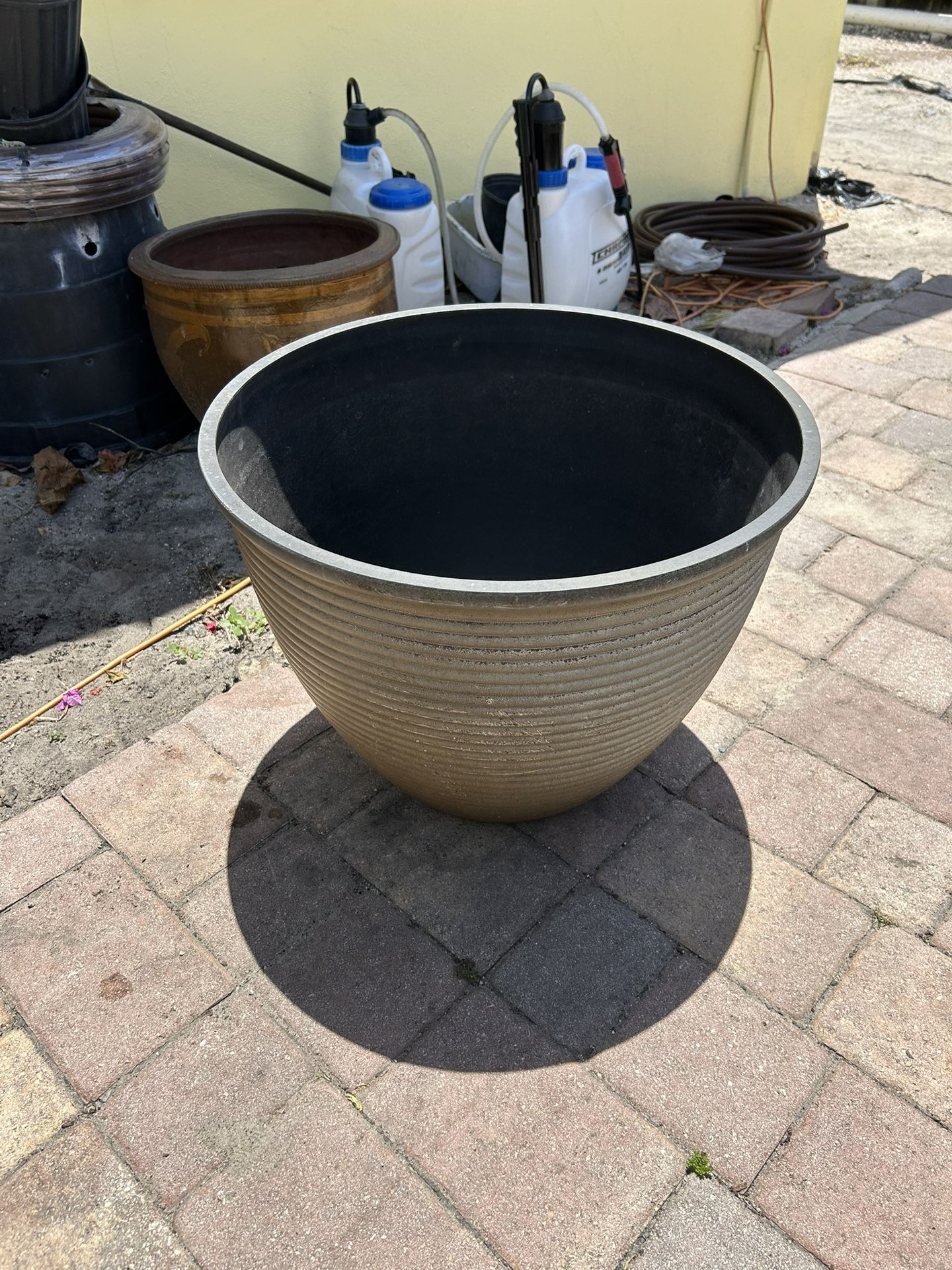 Flower Pot