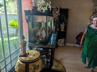 Fish tank