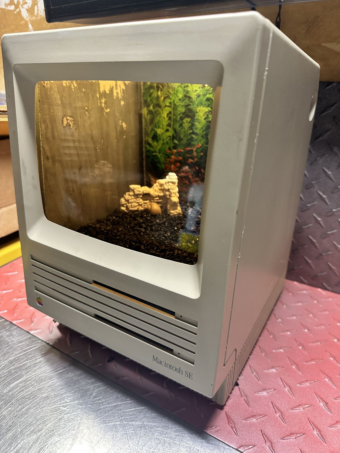 Macintosh SE. “Macquarium”